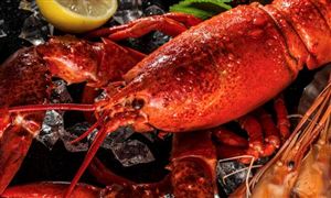 海鲜行业的市场分析 海鲜行业的发展趋势分析2022