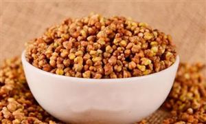 中国荞麦茶行业深度调研及投资前景