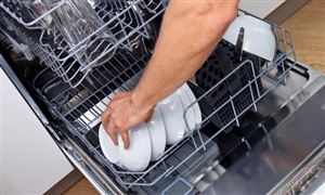 洗碗机行业市场分析 国内品牌实现大逆转