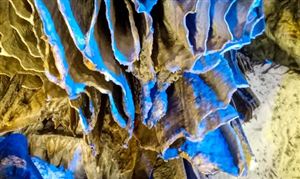 碳酸钙市场调研 碳酸钙行业发展前景分析2022