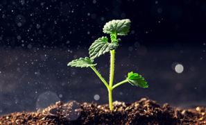 中国土壤修复行业市场全景调研  土壤修复行业投资前景分析