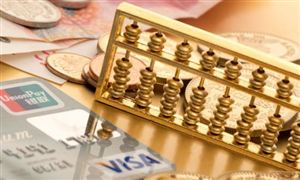 国内辽宁省小微金融行业市场分析