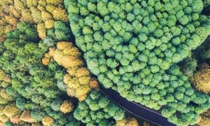 无人机行业市场规模 无人机行业市场需求分析