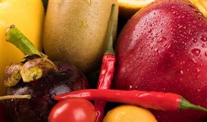 有机冷冻蔬菜市场份额 有机冷冻蔬菜市场发展趋势研究