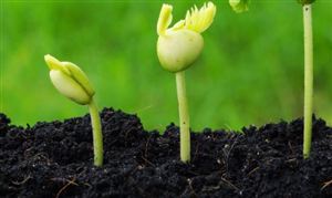 今年化肥价格波动较为剧烈 化肥市场分析2022