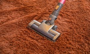 2022年除螨仪行业现状及发展前景分析报告