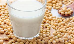 中国1-8月份大豆进口同比下降8.6%至6.130万吨  大豆加工行业发展调研