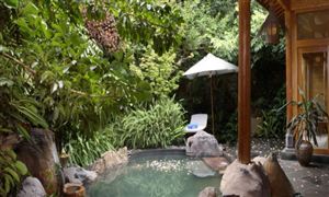 我国温泉旅游行业发展现状分析报告2022