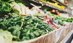 农副产品食品市场需求 农副产品食品零售现状分析