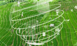 今日全国碳市场收盘价58.00元/吨 碳排放权交易现状分析