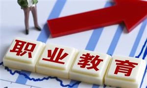 中国职业教育市场深度调研 中国职业教育市场规模快速增长