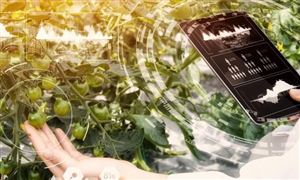 助力上合组织国家农业现代化 现代农业发展现状及“十四五”规划分析