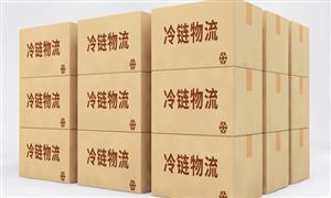 冷链物流行业市场调研