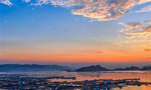 中国合成氨行业市场调研 市场未来走势将向资源地转移