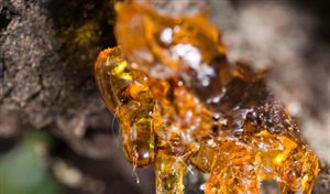 中国ABS树脂行业市场调研 国产替代空间巨大