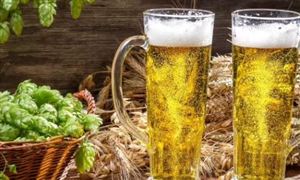 2022年中国啤酒行业投资现状前景分析