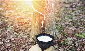 天然橡胶的需求量及天然橡胶的供应量 天然橡胶行业产量分析