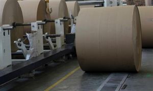 造纸行业市场需求 2022造纸行业市场产量分析