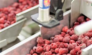 农产品加工机械市场投资前景 农产品加工机械市场供需趋势分析