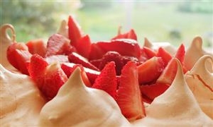 特医食品行业相关政策 特医食品行业市场规模预测