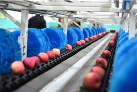 2022国内农副产品加工业市场规模与总产值