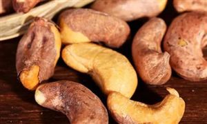 腰果市场发展分析 腰果行业发展前景及投资分析