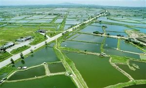 水产养殖产业现状分析 水产养殖产业发展趋势分析