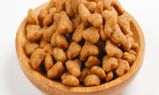 2023年宠物食品行业发展趋势分析