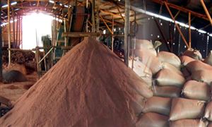 腻子粉行业现状 腻子粉发展前景分析报告2022