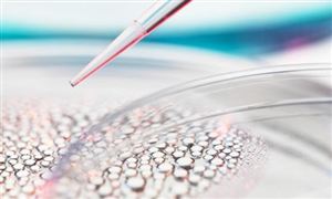 中国干细胞医疗行业市场全景调研与发展现状分析