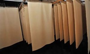 造纸板块午后异动拉升 2022造纸行业发展现状及盈利空间分析