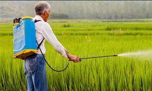 设施农业行业分析 设施农业行业市场调研