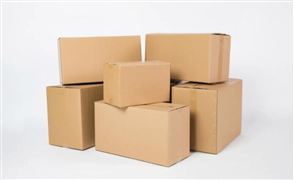 2022可循环快递包装应用规模及发展趋势