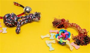 宠物行业迎来新一轮的爆发  宠物玩具行业发展现状如何？