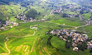 2022中国农村电子商务行业市场运营格局分析