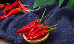 辣椒行业调研 辣椒种植行业发展前景及现状分析