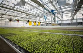 2022中国农业科技重要创新方向与发展现状