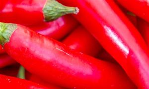 辣椒素行业发展现状及前景分析2022