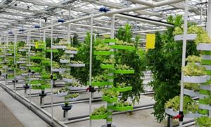 科技加持让农业发展有更多机遇 农业科技行业发展前景规划分析