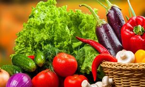 食品安全检测行业发展现状及前景