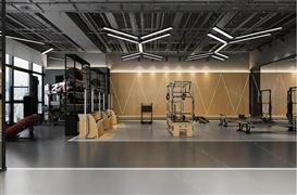 健身房行业环境分析报告 健身房行业的现状与痛点2022