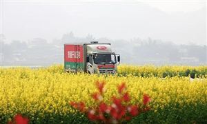 农村物流行业发展困境分析 农村物流市场运行状况如何