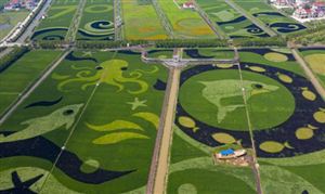 中国数字乡村行业市场分析与乡村治理路径分析