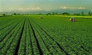 农业保险保费规模已超千亿元 农业保险行业深度分析