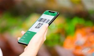 电商零售产业链发展现状 电商零售产业发展规划研究