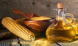 玉米油行业前景如何?玉米油行业现状及趋势分析2022