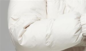 波司登回应先涨后跌仅便宜0.28元 波司登市值蒸发250亿 羽绒服市场分析