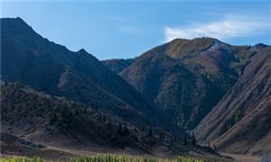 有色金属行业发展现状和前景分析