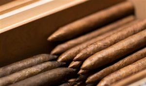 雪茄行业市场现状分析2022 市场规模将保持增长趋势