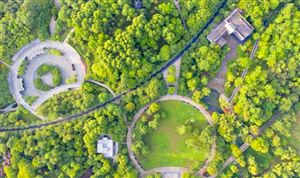 中国绿化苗木行业调研  2022绿化苗木行业市场现状分析